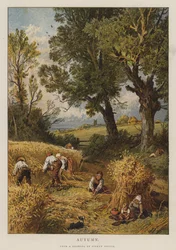 Automne