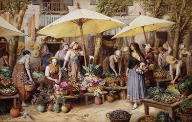 Le Marché aux Fleurs, Toulon