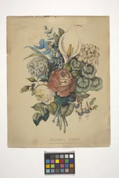 Gems floraux