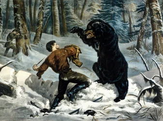 La vie des trappeurs (chasseurs professionnels) au Canada : un chasseur est attaqué par un ours grizzly. Illustration de Yves et Currier.