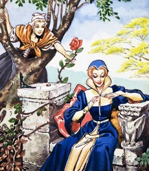 Voler une rose