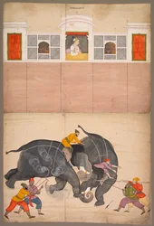 Deux éléphants se battant dans une cour devant Muhammad Shah, vers 1730-40