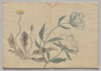 Scène du Livre d