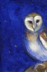Nuit magique 1, 2013