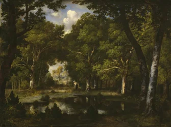Étang dans les bois, 1862