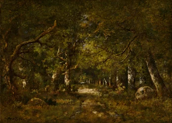 Scène de forêt