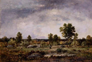 Paysage