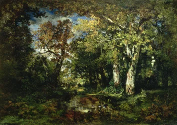 La Forêt de Fontainebleau