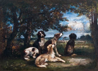 Chiens dans la forêt de Fontainebleau