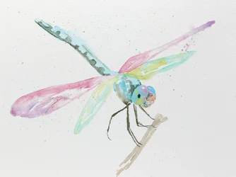 Des libellules sur une branche aux couleurs pastel