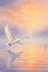 Le reflet majestueux d
