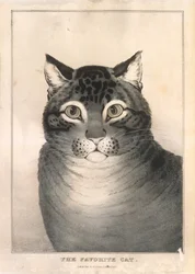 Le Chat Favori