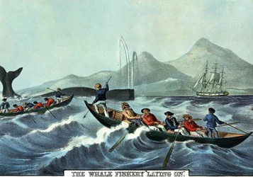 Scène de chasse à la baleine dans le nord des États-Unis. Lithographie de N. Currier