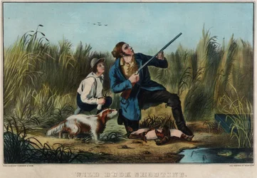 Tir aux canards sauvages
