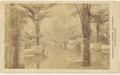 Trophées [pousses de plantes, intérieur du Palais de Cristal].