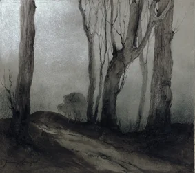 Ombres de la nuit