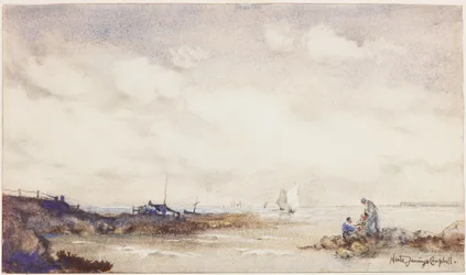 Côte du Sussex