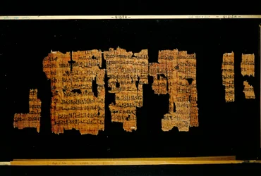 Fragments du document contenant les actes du pharaon Thoutmôsis III (papyrus)