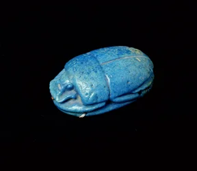 Scarabée provenant d