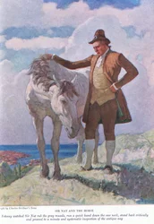 Sir Nat et le cheval : Johnny regardait Sir Nat frotter le museau gris ; reculer et procéder à une inspection minutieuse et systématique