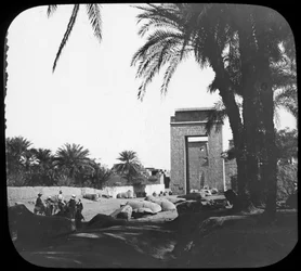 Avenue des Sphinx, Karnak, Égypte, c1890