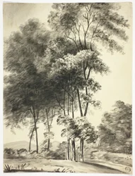 Arbres avec montagnes au loin