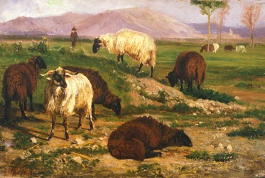 Animaux en pâturage