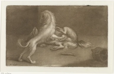 Deux chiens jouant