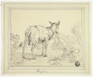 Chèvre