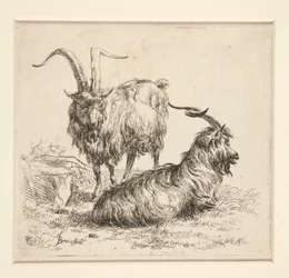 Chèvres (de