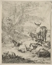 Animaux au repos