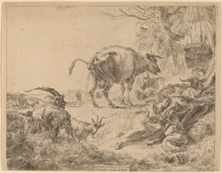 Vache urinant