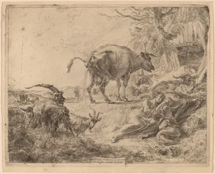 Vache Pissant