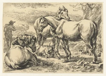 Trois chevaux (Animaux)