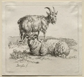 Bélier et chèvre