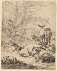 Troupeau au repos