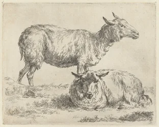 Mouton debout et couché