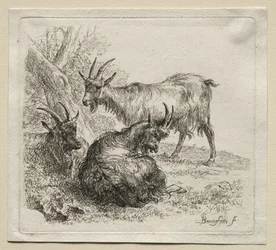 Trois chèvres