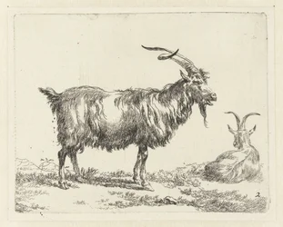 Deux chèvres (Animalia ad vivum delineata et aqua forti aeri impressa Studio et Arte Nicolai Berchemi)