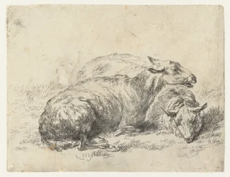 Deux moutons couchés, Animalia ad vivum delineata et aqua forti aeri impressa Studio et Arte Nicolai Berchemi (titre de la série)