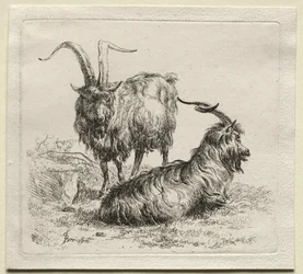 Deux chèvres