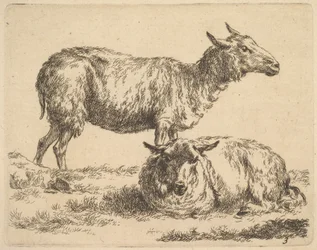 de La Série des Moutons