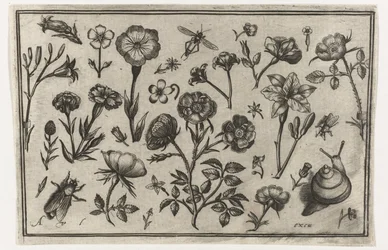 Fleurs, une mouche et un escargot