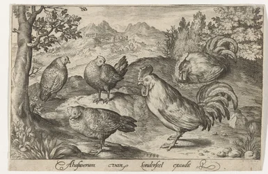 Trois poules et deux coqs, Oiseaux et insectes (titre de la série)