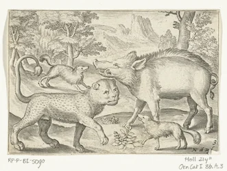 Léopard, sanglier et chiens