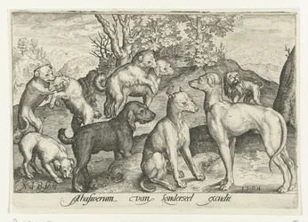 Neuf chiens