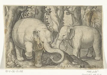 Deux éléphants
Animalivm qvadrvpedvm (série)
Animaux dans les paysages (série)