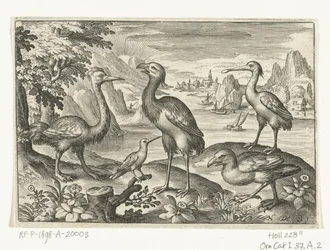Cinq oiseaux dont une spatule (Vogels en insecten)