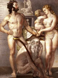 Anatomie de l