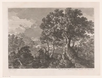 Paysage vallonné avec des arbres